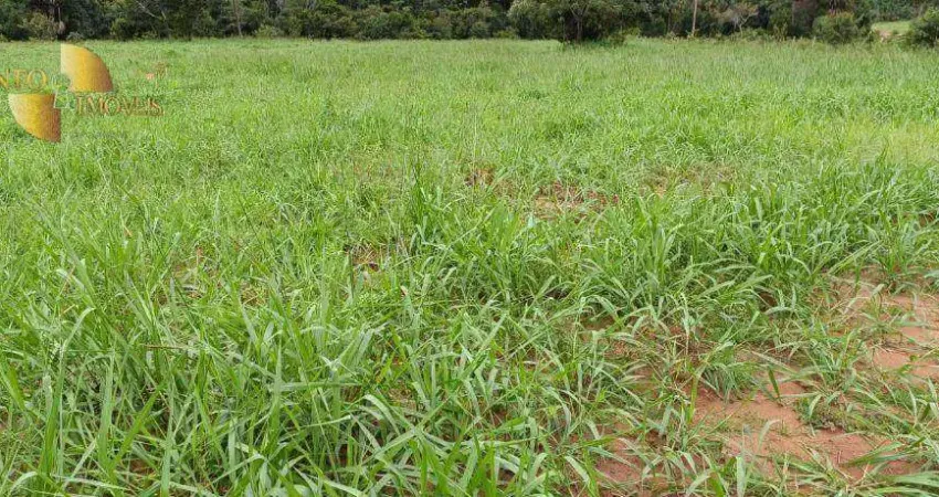 Fazenda à venda, 7300000 m² por R$ 26.005.000,00 - Centro - Poconé/MT
