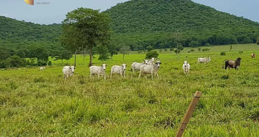 Fazenda à venda, 343850000 m² por R$ 364.920.000,00 - Zona Rural - Cuiabá/MT