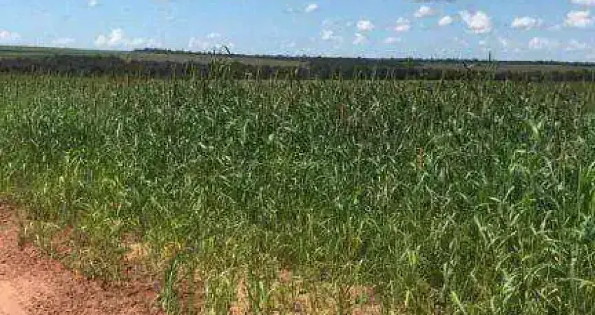 Fazenda à venda, 4070000 m² por R$ 12.261.312,00 - Zona Rural - Gaúcha do Norte/MT