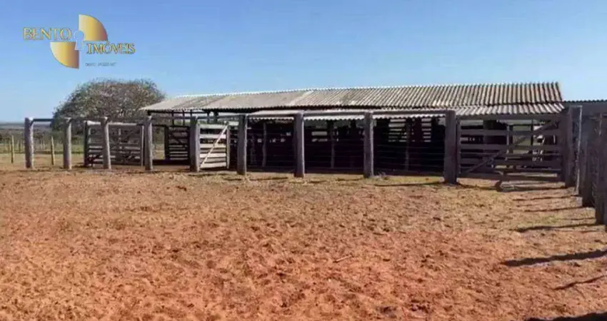 Fazenda à venda, 16050000 m² por R$ 26.500.000,00 - Zona Rural - Juscimeira/MT