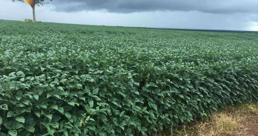 Fazenda à venda, 178970000 m² por R$ 500.000.000,00 - Zona Rural - Canarana/MT
