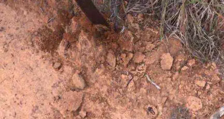 Fazenda à venda, 59950000 m² por R$ 115.000.000,00 - Zona Rural - Sinop/MT