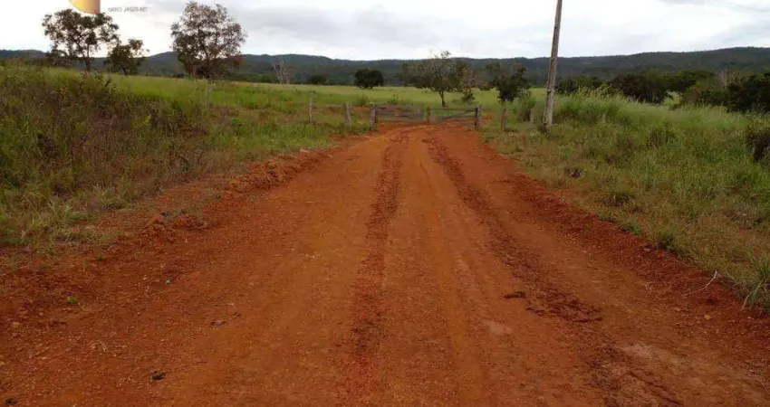 Fazenda à venda, 74300000 m² por R$ 115.000.000,00 - Zona Rural - Nova Mutum/MT