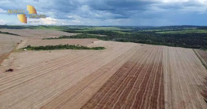 Fazenda à venda, 13490000 m² por R$ 111.936.000,00 - Zona Rural - Primavera do Leste/MT