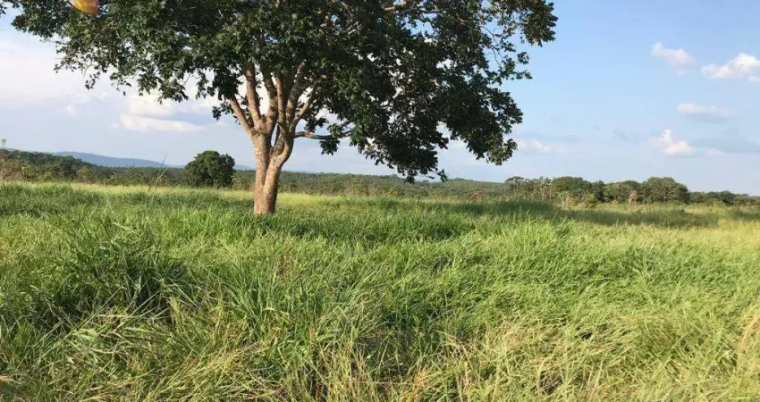 Fazenda à venda, 3500000 m² por R$ 8.000.000,00 - Zona Rural - Rosário Oeste/MT