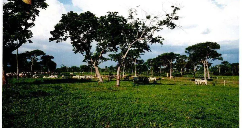 Fazenda à venda, 99850000 m² por R$ 80.000.000,00 - Ribeirão do Lipa - Cuiabá/MT