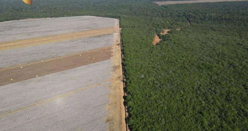 Fazenda à venda, 60000000 m² por R$ 139.920.000,00 - Zona Rural - Tabaporã/MT