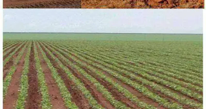 Fazenda à venda, 33800000 m² por R$ 378.911.520,00 - Zona Rural - Primavera do Leste/MT