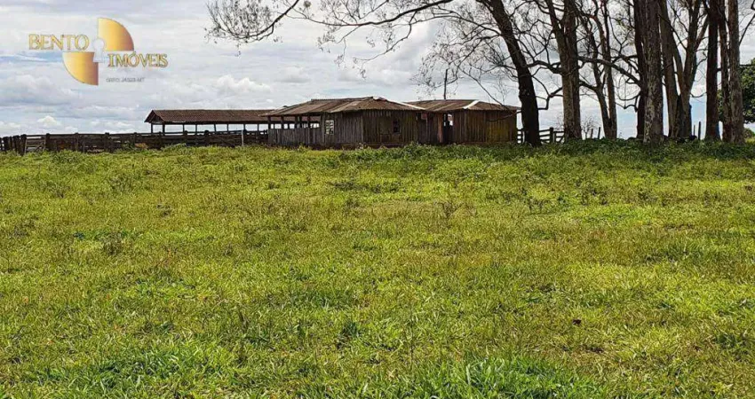 Fazenda à venda, 60000000 m² por R$ 200.000.000,00 - Zona Rural - Primavera do Leste/MT