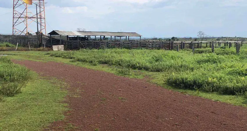 Fazenda à venda, 40950000 m² por R$ 350.000.000,00 - Jardim Paulista - Araguaína/TO