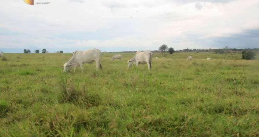 Fazenda à venda, 25410000 m² por R$ 35.000.000,00 - Zona Rural - Pontes e Lacerda/MT