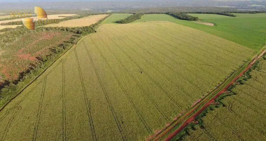 Fazenda à venda, 11450000 m² por R$ 34.000.000 - Diamantino/MT