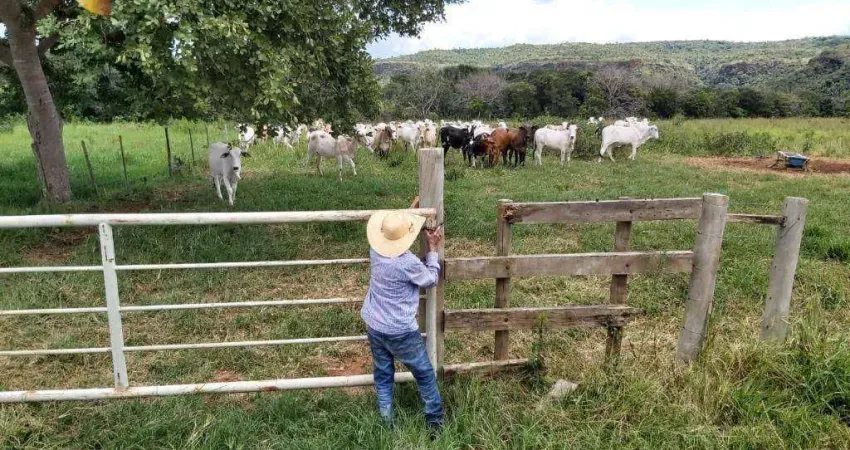 Fazenda à venda, 16100000 m² por R$ 40.000.000,00 - Zona Rural - Poxoréu/MT