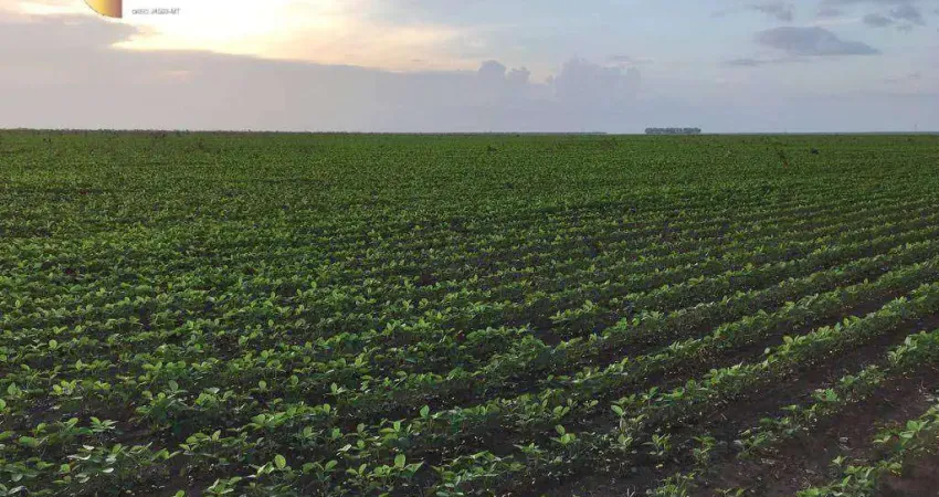 Fazenda à venda, 18000000 m² por R$ 186.690.000 - Balsas/Maranhão