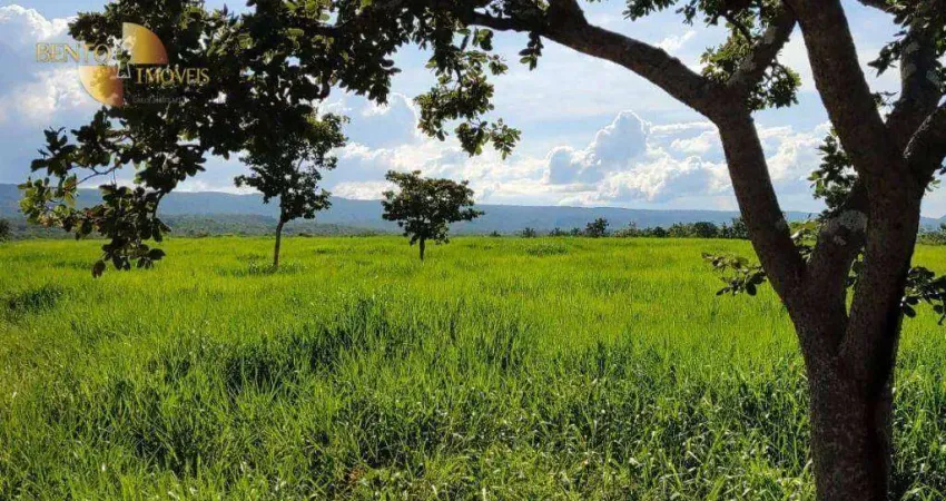 Fazenda à venda, 5500000 m² por R$ 12.000.000,00 - Zona Rural - Rosário Oeste/MT