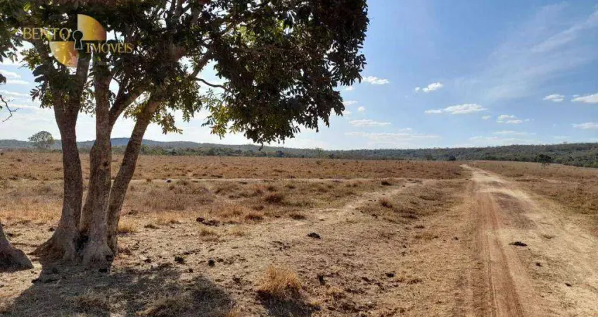 Fazenda à venda, 11400000 m² por R$ 26.000.000,00 - Zona Rural - Paranatinga/MT