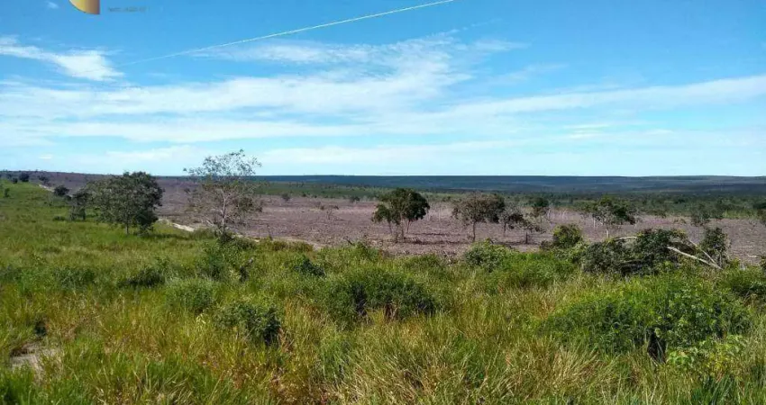 Fazenda à venda, 23500000 m² por R$ 14.000.000,00 - Zona Rural - Reserva Do Cabaçal/MT
