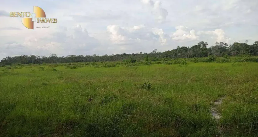 Fazenda à venda, 500000000 m² por R$ 150.000.000,00 - Zona Rural - Boa Vista/RR