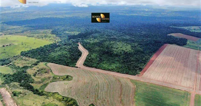 Fazenda à venda, 38500000 m² por R$ 248.330.775,00 - Zona Rural - Juara/MT