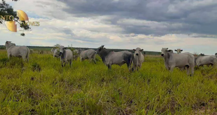 Fazenda à venda, 48800000 m² por R$ 122.000.000,00 - Zona Rural - Itiquira/MT