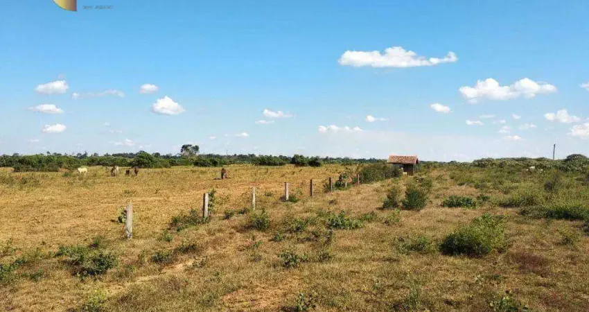 Fazenda para Arrendamento, 22600000 m² por R$ 3.690.600/Anual - Zona Rural - Alta Floresta/MT