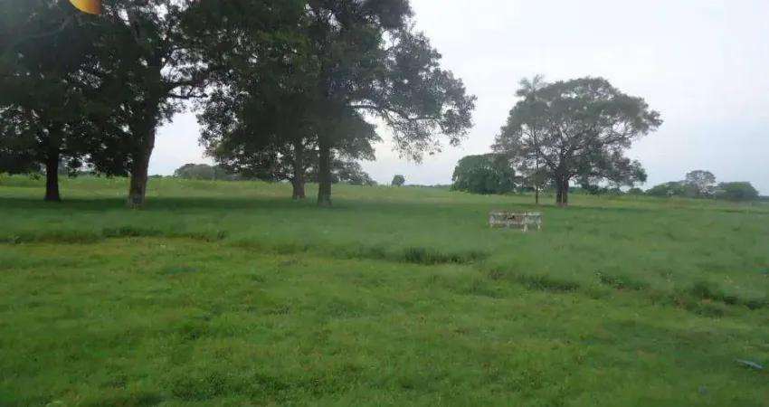 Fazenda à venda, 410000000 m² por R$ 123.000.000,00 - Zona Rural - Poconé/MT