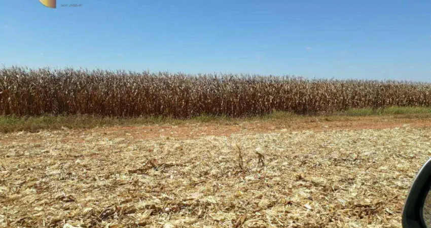 Fazenda à venda, 25000000 m² por R$ 170.000.000,00 - Zona Rural - Nova Maringá/MT