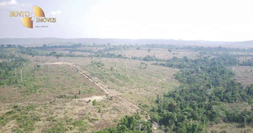 Fazenda à venda, 40410000 m² por R$ 50.000.000,00 - Zona Rural - Paranaíta/MT