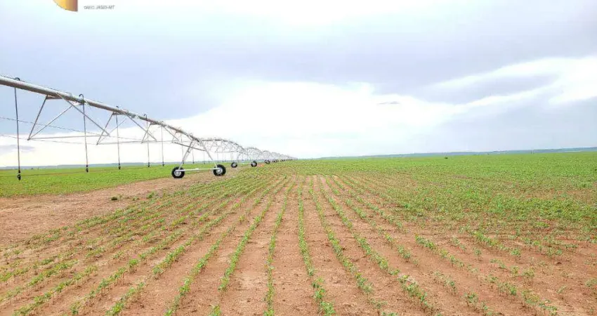 Fazenda à venda, 110550000 m² por R$ 697.000.000,00 - Zona Rural - Água Boa/MT