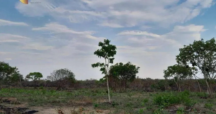 Fazenda à venda, 1040000 m² por R$ 550.000,00 - Zona Rural - Cáceres/MT