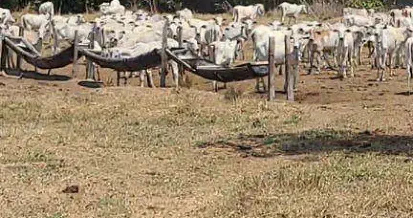 Fazenda à venda, 19750000 m² por R$ 28.500.000,00 - Zona Rural - Barão de Melgaço/MT