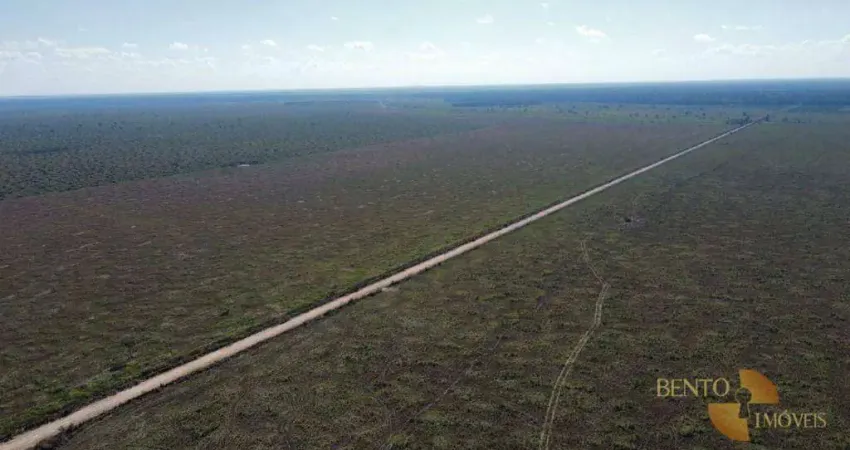 Fazenda à venda, 70000000 m² por R$ 120.000.000,00 - Chacaras Setor Quatro - Cerejeiras/RO