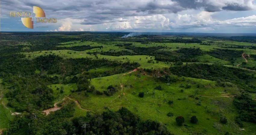 Fazenda à venda, 17600000 m² por R$ 50.000.000,00 - Zona Rural - Comodoro/MT