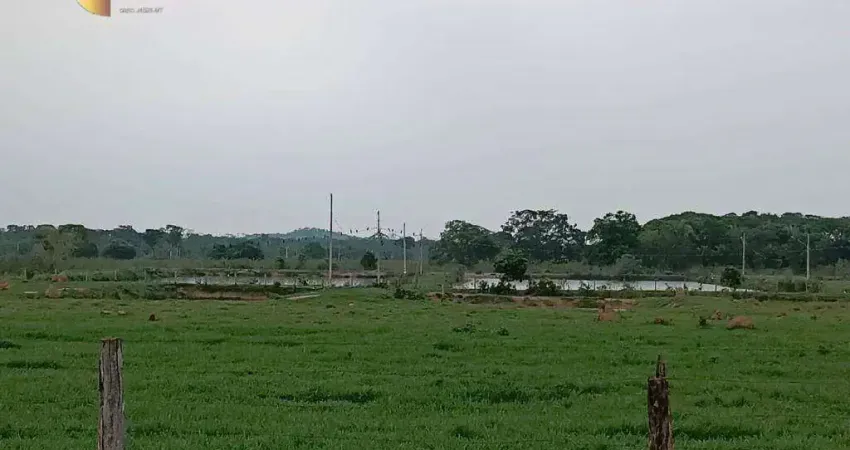 Fazenda à venda, 4000000 m² por R$ 13.000.000,00 - Zona Rural - Santo Antônio do Leverger/MT