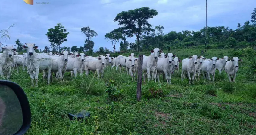 Fazenda à venda, 20570000 m² por R$ 35.000.000,00 - Zona Rural - Nova Bandeirantes/MT