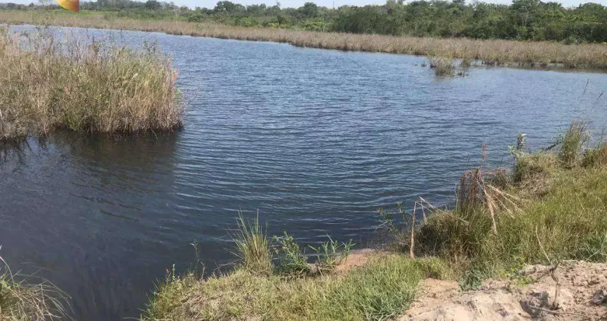Fazenda à venda, 32100000 m² por R$ 136.425.000,00 - Zona Rural - Paranatinga/MT