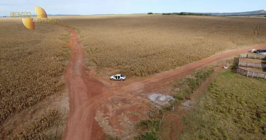Fazenda à venda, 13000000 m² por R$ 37.570.000,00 - Zona Rural - Planalto da Serra/MT