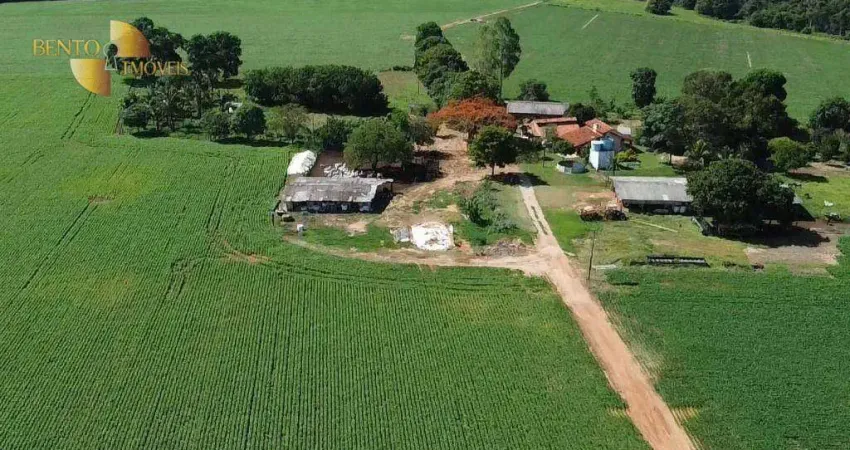 Fazenda à venda, 946000 m² por R$ 14.473.800,00 - Zona Rural - Nova Mutum/MT