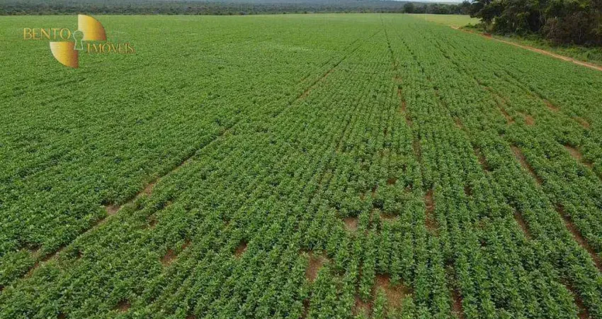 Fazenda à venda, 2000000 m² por R$ 14.280.000,00 - Zona Rural - Nova Mutum/MT