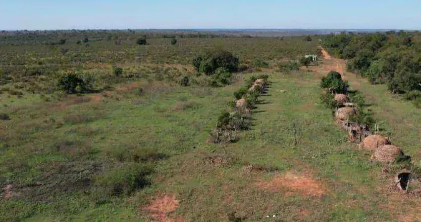 Fazenda à venda, 23490000 m² por R$ 61.074.000,00 - Zona Rural - Ribas do Rio Pardo/MS