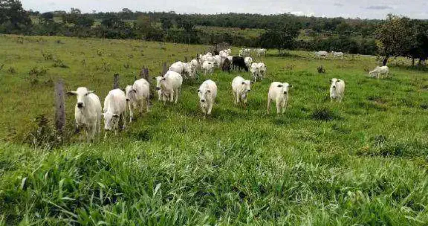 Fazenda à venda, 1050000 m² por R$ 2.000.000,00 - Zona Rural - Cuiabá/MT