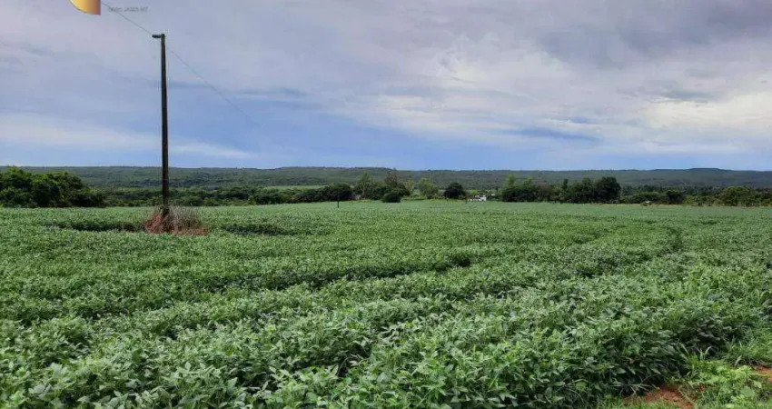 Fazenda à venda, 27000000 m² por R$ 10.000,00 - Zona Rural - Nova Mutum/MT