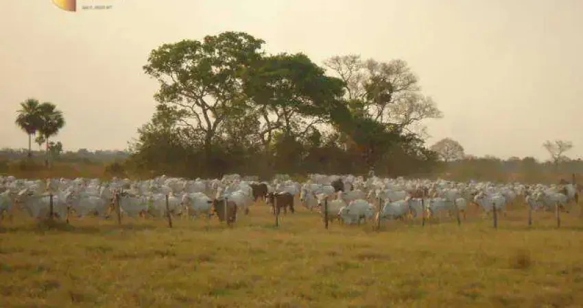 Fazenda à venda, 554500000 m² por R$ 166.350.000,00 - Zona Rural - Cáceres/MT