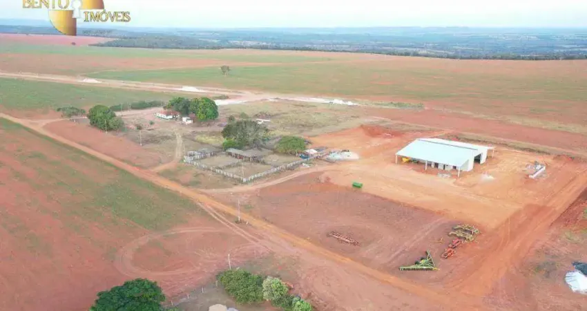 Fazenda à venda, 43560000 m² por R$ 130.000.000,00 - Zona Rural - General Carneiro/MT
