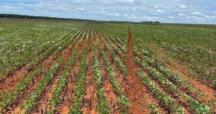 Fazenda à venda, 8900000 m² por R$ 151.300.000,00 - Zona Rural - Diamantino/MT