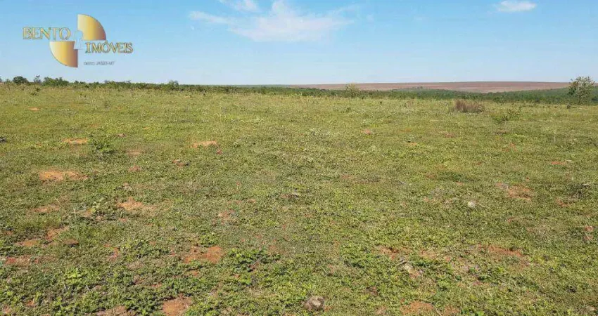 Fazenda à venda, 2000000 m² por R$ 7.000.000,00 - Zona Rural - Rondonópolis/MT