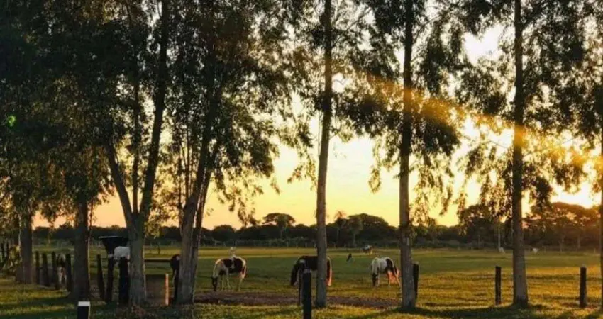 Fazenda à venda, 187000000 m² por R$ 140.000.000,00 - Zona Rural - Poconé/MT