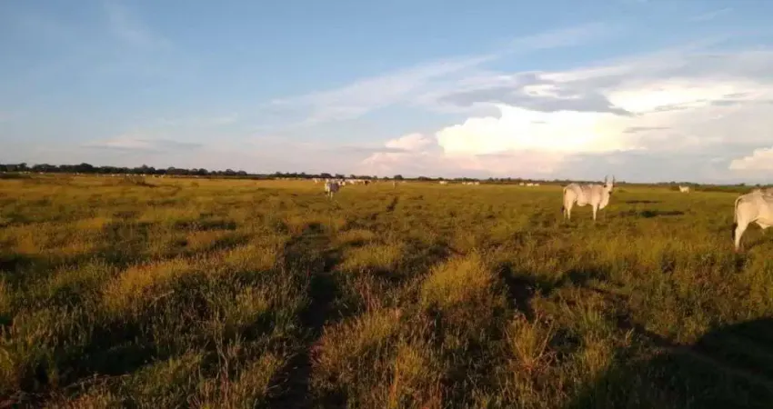 Fazenda à venda, 93800000 m² por R$ 46.900.000,00 - Zona Rural - Poconé/MT