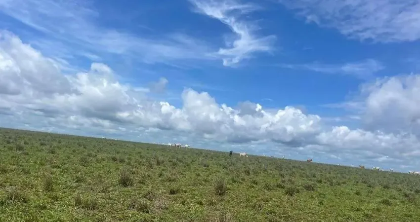 Fazenda à venda, 70000000 m² por R$ 204.000.000,00 - Zona Rural - Feliz Natal/MT