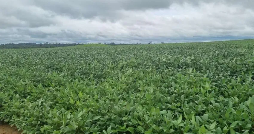 Fazenda à venda, 9300000 m² por R$ 100.000.000,00 - Zona Rural - Porto Velho/RO